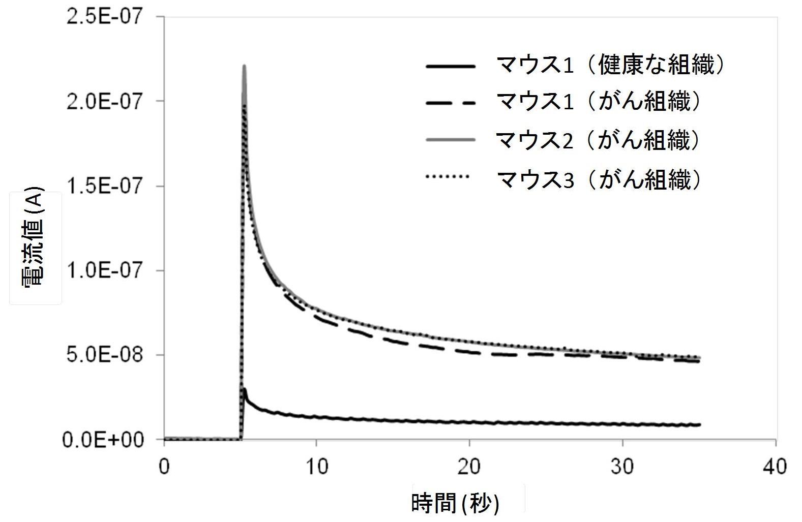 図4　生体内におけるクロノアンペロメトリー測定
1.3Vをかけた後の電流値をモニターしたもの。がん組織では、健康な組織に比べ、GSH濃度が高いことが分かる。ヌードマウスの皮下にヒト口腔内がんを100万個移植し、2週間後に増殖した腫瘍組織と、周辺の健康な組織の中のGSH濃度を腫瘍内あるいは正常組織内に針を刺入することで測定した。