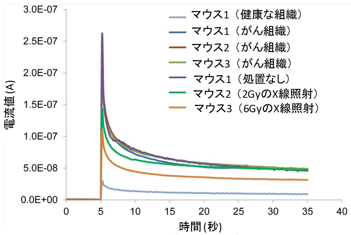 図5　マウスのがんに放射線を照射した際のがん組織内GSH濃度の変化
放射線の線量依存的にがん組織のGSH濃度の減少が認められた。
ヌードマウスの皮下にヒト口腔内がんを100万個移植し、2週間後に増殖した腫瘍を持つマウスに放射線（2Gyあるいは6Gy）を照射　し、3時間後に照射した腫瘍組織、照射しなかった腫瘍組織、および周辺の健康な組織の中のGSH濃度を組織内に針を刺入することで測定した。放射線の照射線量依存性に腫瘍組織内のGSH濃度の減少が認められ、放射線照射によって組織内の酸化ストレスが上昇し、GSHが消費されたことを測定することができた。