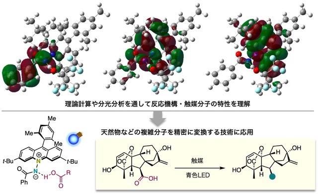 分子の可能性は無限 | 慶應義塾大学理工学部