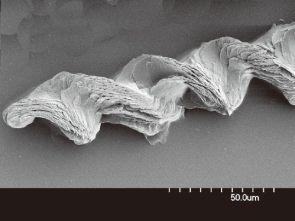 Self-organized helical crystals