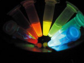 Bright fluorescent dyes