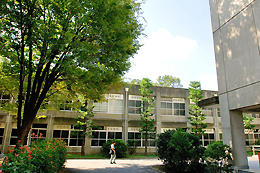 12th Building: Lecture rooms