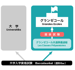 フランス高等教育機関の概念図