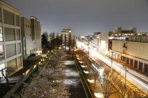 日吉・独立館前（夜景）