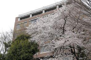 矢上・創想館