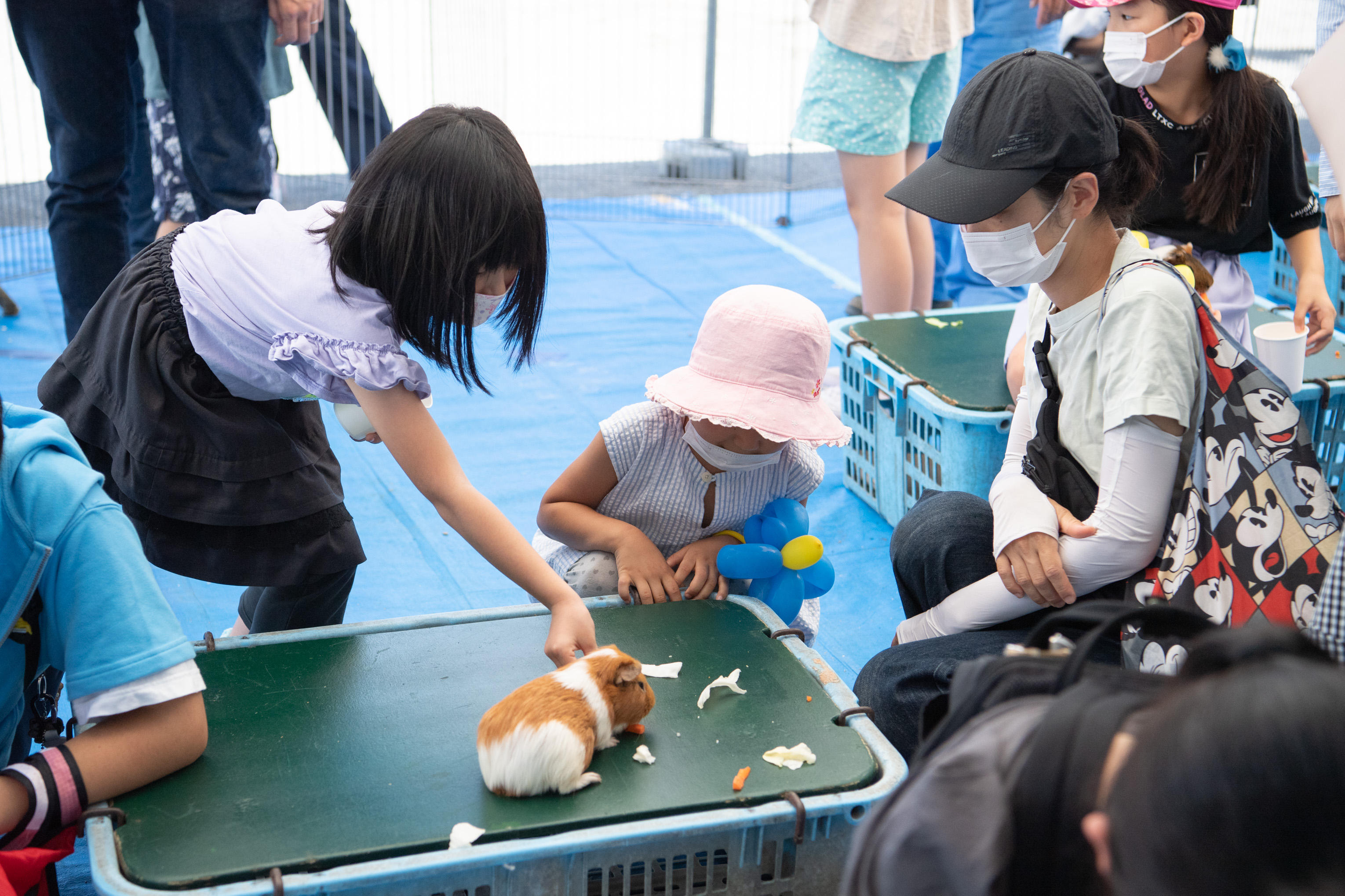 <center>動物と触れ合う様子</center>